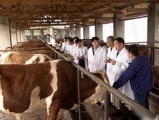 智能畜牧业气体传感器监测解决方案